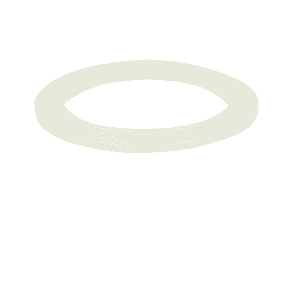 Garnitura portafiltru lelit pl042-lelit anita-anna